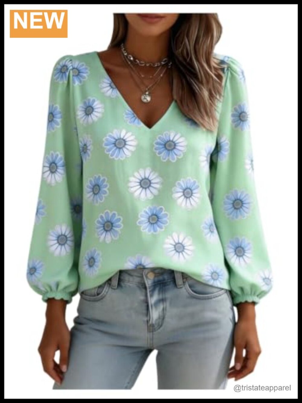 Boho Floral Bishop Sleeve Blouse V-Neck Dressy Top